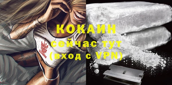 эйфоретик Беломорск