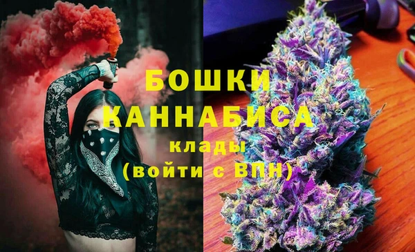 дмт Белокуриха