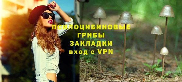 дмт Белокуриха